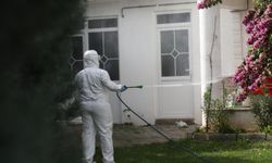 Erenler Belediyesi Kahverengi Kokarca İlaçlamasına Devam Ediyor