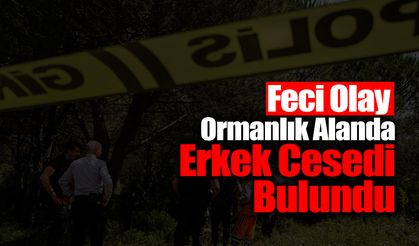 Ormanlık Alanda Erkek Cesedi Bulundu