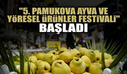 5. Pamukova Ayva ve Yöresel Ürünler Festivali Başladı