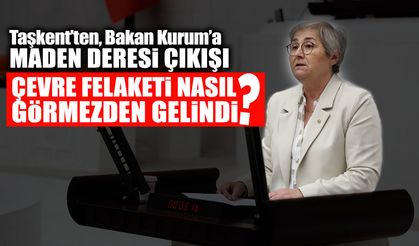Maden Deresi'ndeki Çevre Felaketi Nasıl Görmezden Gelindi?