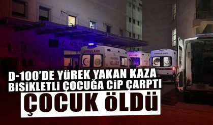 D-100'de Feci Kaza: Bisikletli Çocuk Hayatını Kaybetti