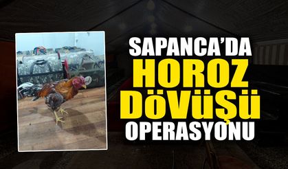 Sapanca’da Horoz Dövüşü Operasyonu 33 Hint Horozu Kurtarıldı