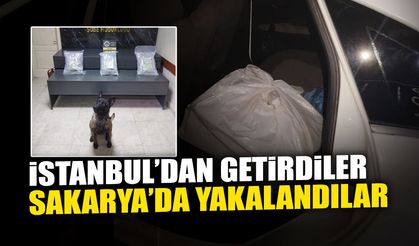 İstanbul’dan Getirdiler, Sakarya’da Yakalandılar