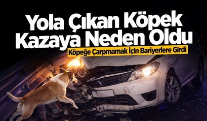 Faciadan Dönüldü: Köpeğe Çarpmamak İçin Direksiyonu Kırdı