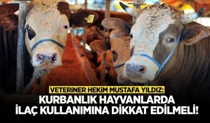 Kurbanlık Hayvanlarda İlaç Kullanımına Dikkat Edilmeli