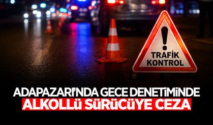 Adapazarı’nda Gece Denetiminde Alkollü Sürücüye Ceza