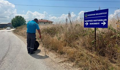 Serdivan’da Yol Kenarlarında Temizlik Mesaisi