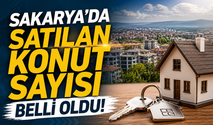 Sakarya'da Satılan Konut Sayısı Belli Oldu
