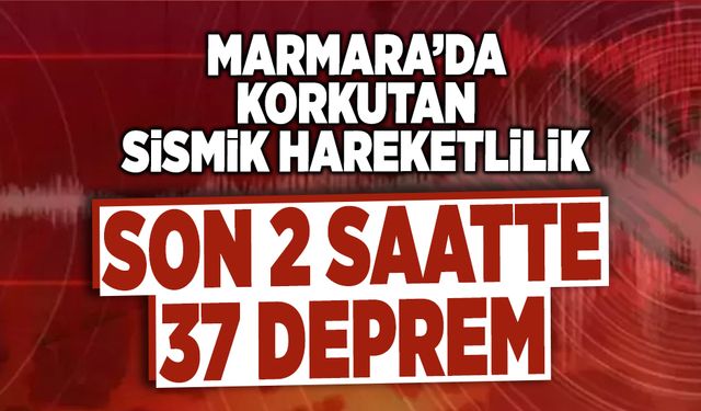 Marmara'da Korkutan Sismik Hareketlilik!
