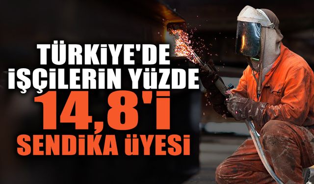 Türkiye'de İşçilerin Yüzde 14,8'i Sendika Üyesi