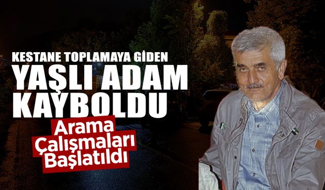 Kestane Toplamaya Giden Yaşlı Adam Kayboldu