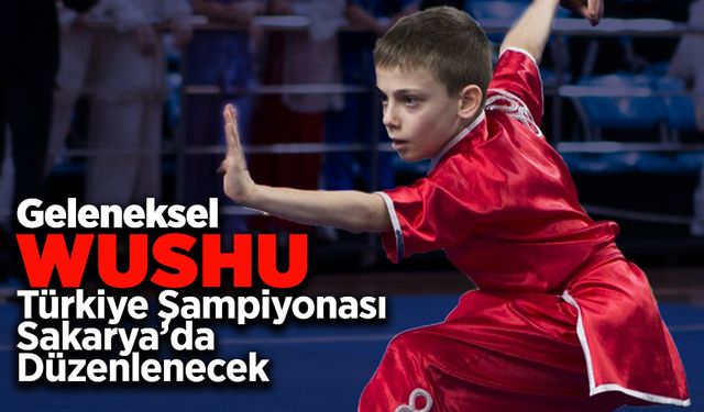 Geleneksel Wushu Türkiye Şampiyonası Sakarya'da Düzenlenecek