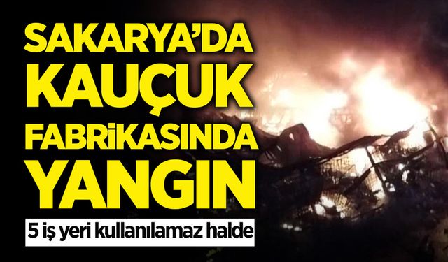 Sakarya'da Kauçuk Fabrikasında Yangın!