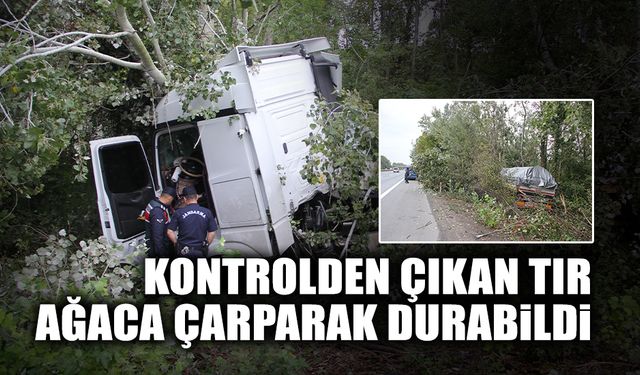 Kontrolden Çıkan Tır Ağaca Çarparak Durabildi