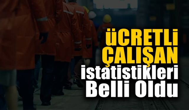 Ücretli Çalışan İstatistikleri Belli Oldu