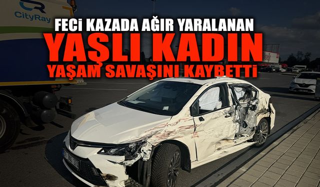 Ağır Yaralanan Yaşlı Kadın Yaşam Savaşını Kaybetti