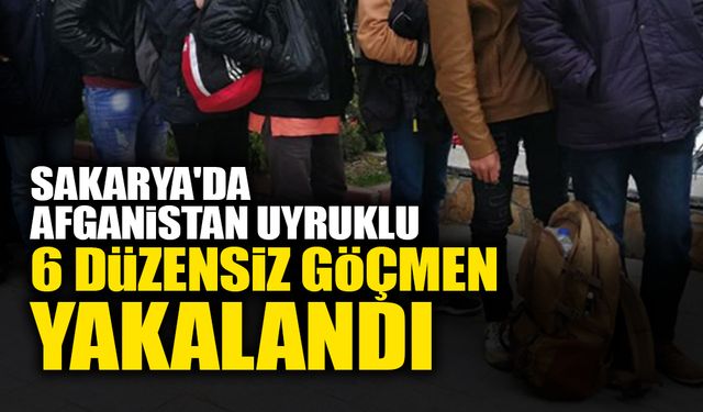 Sakarya'da 6 Düzensiz Göçmen Yakalandı