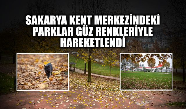 Sakarya'da Parklar Güz Renkleriyle Hareketlendi