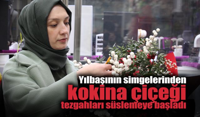 Kokina Çiçeği Tezgahları Süslemeye Başladı