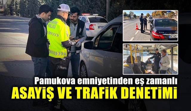 Pamukova Emniyetinden Eş Zamanlı Asayiş ve Trafik Denetimi