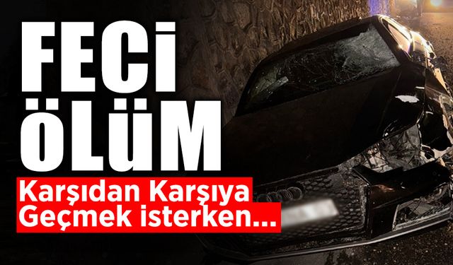 Feci Olay! Karşıdan Karşıya Geçmek İsterken...