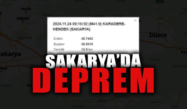 Sakarya'da Deprem! O İlçe Sallandı...