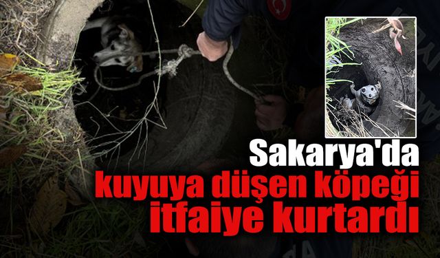 Sakarya'da Kuyuya Düşen Köpeği İtfaiye Kurtardı