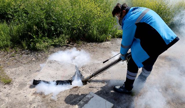 Büyükşehir Şehrin Dört Bir Yanında Haşereyle Mücadele Mesaisine Başladı