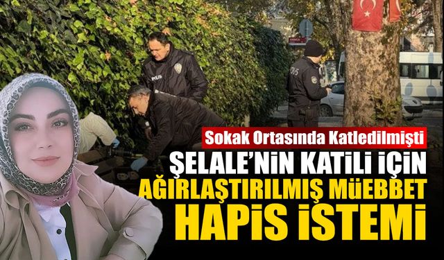 Şelale'nin Katili Hakim Karşısında