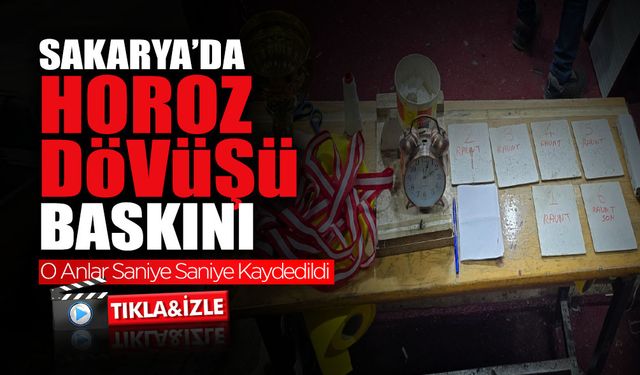 Horoz Dövüşüne Baskın: 32 Kişi Yakalandı