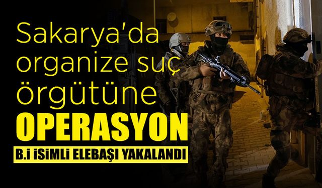 Sakarya'da Operasyon: Elebaşı Yakalandı