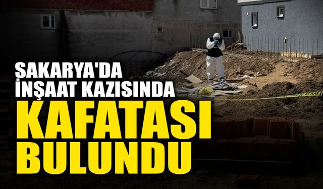 Sakarya'da İnşaat Kazısında Kafatası Bulundu