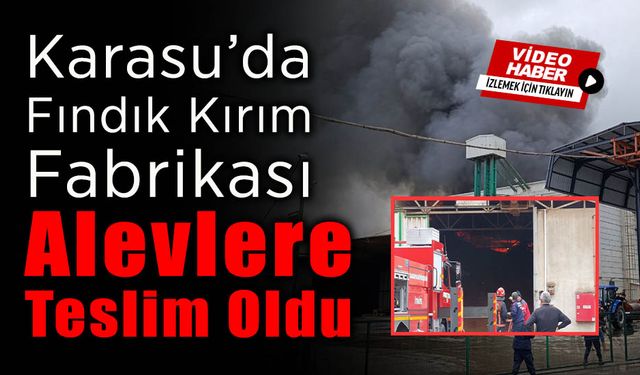 Fındık Kırım Fabrikasında Yangın!