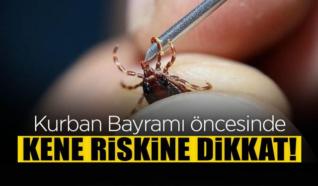 Bayram Öncesi Keneye Dikkat
