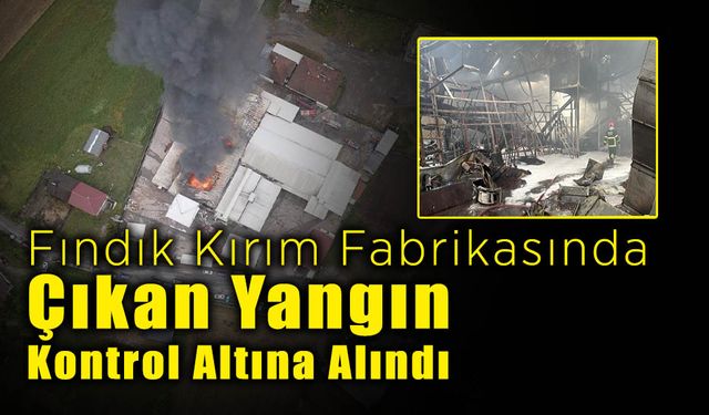 Fındık Kırım Fabrikasında Çıkan Yangın Kontrol Altına Alındı