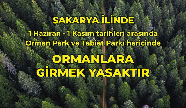 Sakarya'da Ormanlara Girmek Yasaklandı