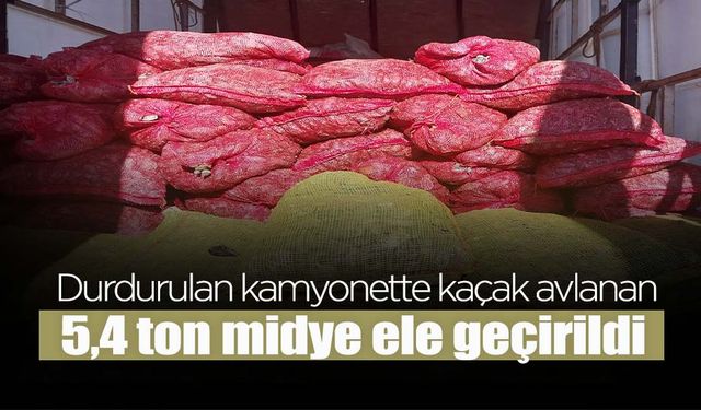 Kaçak Avlanan 5,4 Ton Midye Ele Geçirildi