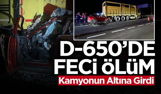Sakarya'da Kamyona Çarpan Aracın Sürücüsü Öldü