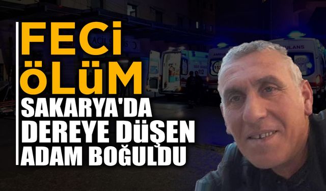 Sakarya'da Dereye Düşen Adam Boğuldu