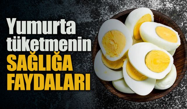 Yumurtanın İnsan Sağlığına Faydaları