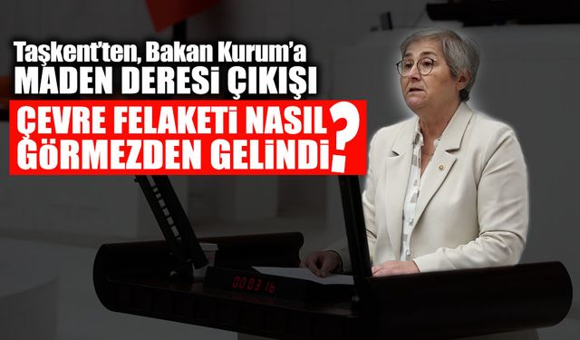 Maden Deresi'ndeki Çevre Felaketi Nasıl Görmezden Gelindi?