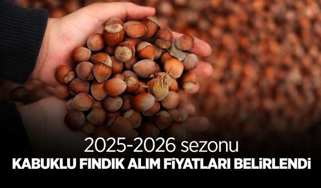 Kabuklu Fındık Alım Fiyatları Belirlendi
