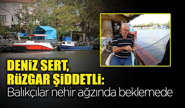 Palamut Sezonu Hüsranla Başladı