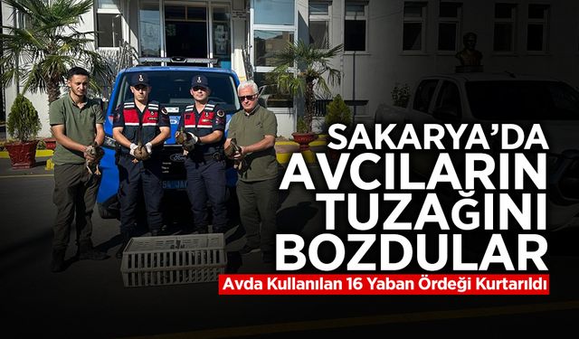 Avda Kullanılan 16 Yaban Ördeği Kurtarıldı