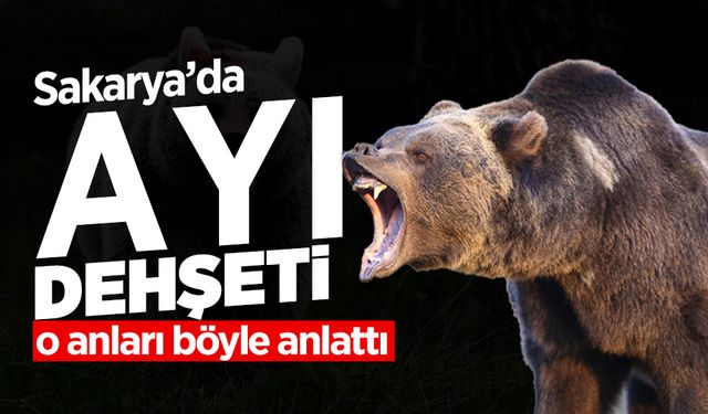 Hendek’te Ayı Paniği: Yara Bere İçinde Hastaneye Kaldırıldı