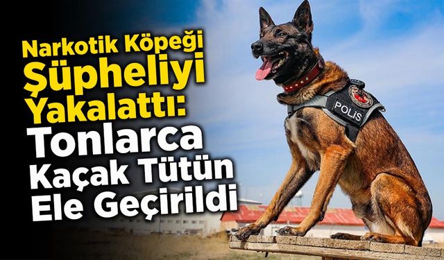 Sakarya'da Kaçakçılık Operasyonu