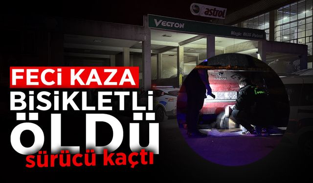 Sakarya'da Feci Kaza: Bisikletli Öldü, Sürücü Kaçtı