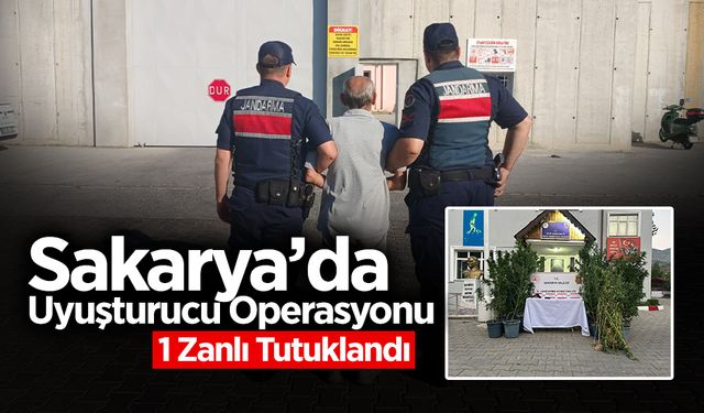 Sakarya'da Operasyon: 1 Zanlı Tutuklandı