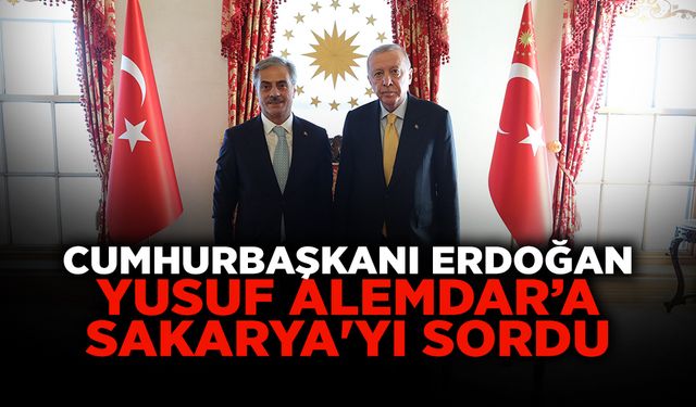 Cumhurbaşkanı Erdoğan Yusuf Alemdar’a Sakarya'yı Sordu
