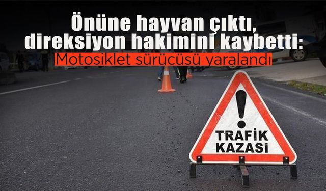 Önüne Hayvan Çıkan Motosiklet Sürücüsü Yaralandı